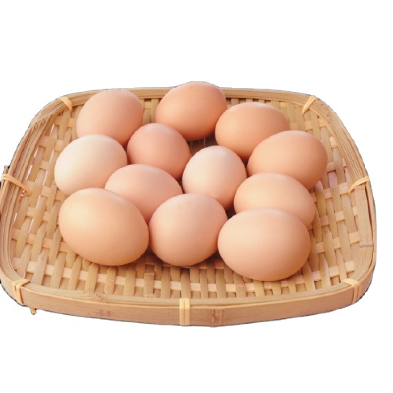 OEM Customized Layer Chicken Premix