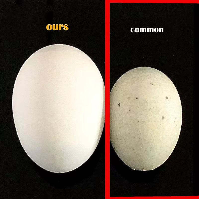 Wholesale Good Quality Chinese Preserved Eggs Safe Green Clear Health No Spots No Pb No Cu Nice Centry Egg