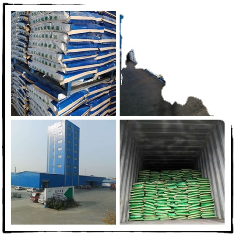 Dried Starter Grower Chicken Feed Additive Powder Form Animal Feed Combined with Soybean Meal