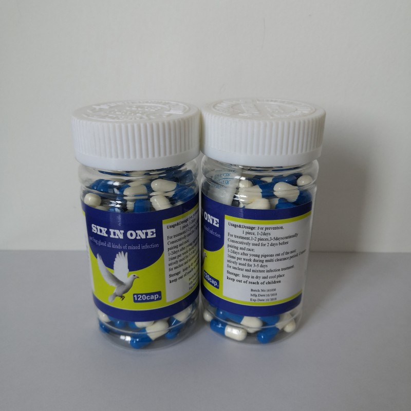 Pigeon Care Racing Premix Feed Additives Multivitamins Minerals Amino Acids Enzymes for Poultry Health Supplements for Pigeons