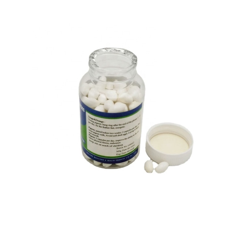 High Quality Pigeon Bird Supplements Top Feed Additives at Low Price