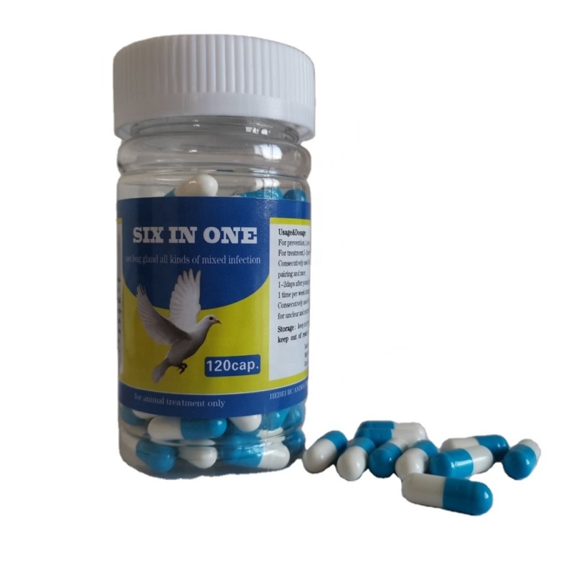 Six in One Immune Booster Supplements for Birds Premium Pigeon Chicken Feed Additives