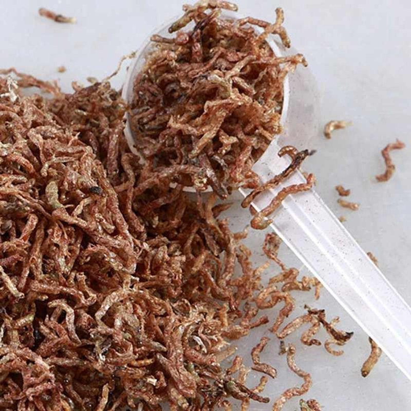 Wholesale High Quality Dried Bloodworms Koi Fish Food