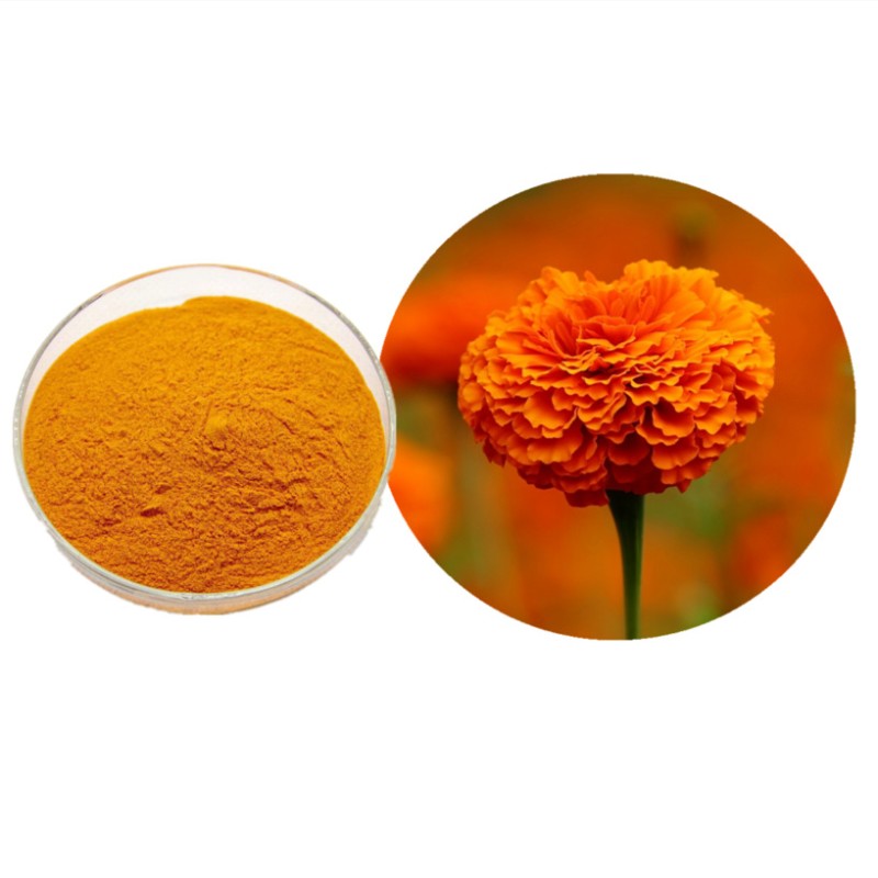 Natural Lutein Pigment Plant Extract Animal Feed Additive for Fish