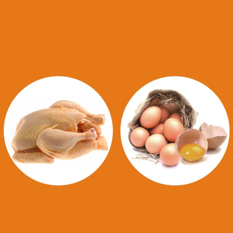 Natural Pigment Plant Extracts Egg Yolks More Colorful Natural Additives