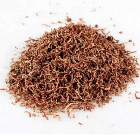 Wholesale High Quality Dried Bloodworms Koi Fish Food