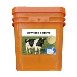 Increase Milk Yield Nutritional Feed for Dairy Cows