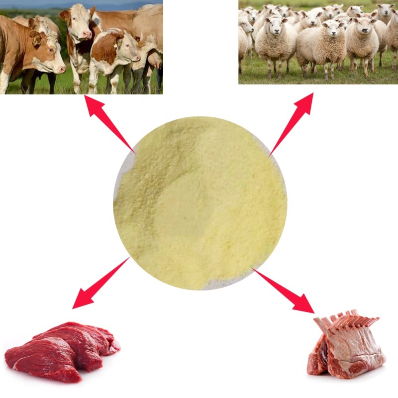 Improve the Intestinal Environment Cattle Additive
