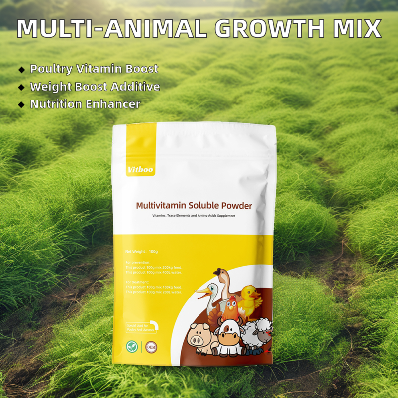 Improving Feed Quality Compound Layer Chicken Animal Feed Additive for More Egg