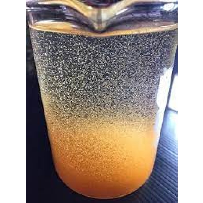 High Quality  High Hatchability Tibetan Brine Shrimp Larvae Eggs and Brine Shrimp Cysts