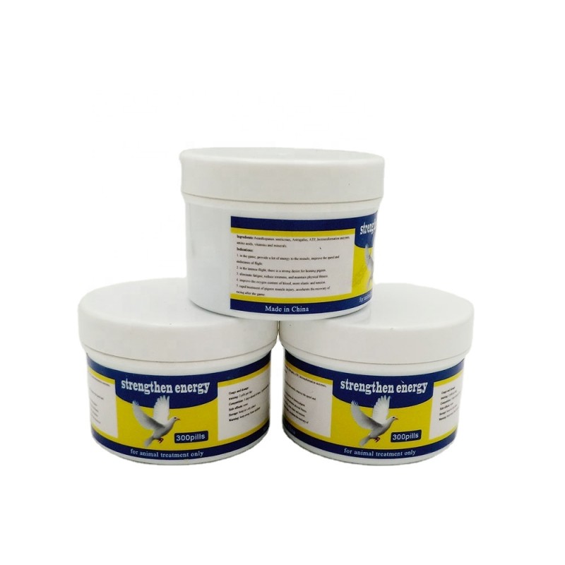 Nutritional Supplement Pills for Racing Pigeons Premium Feed Additives for Optimal Performance Birds