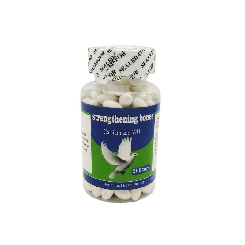 High Quality Pigeon Bird Supplements Top Feed Additives at Low Price