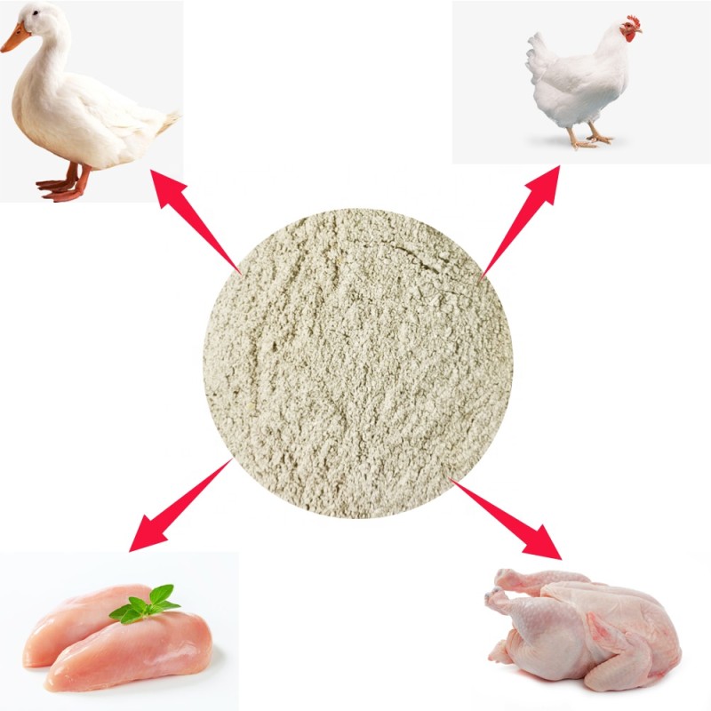 Manufacturer's Best Quality Animal Feed Additive Economical Duck Premix for Pig Cattle Increases Egg Production Good Price