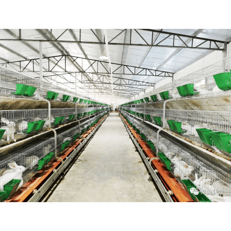 Excellently Formulated Multivitamin Healthy Meat Rabbit Raising Supplement