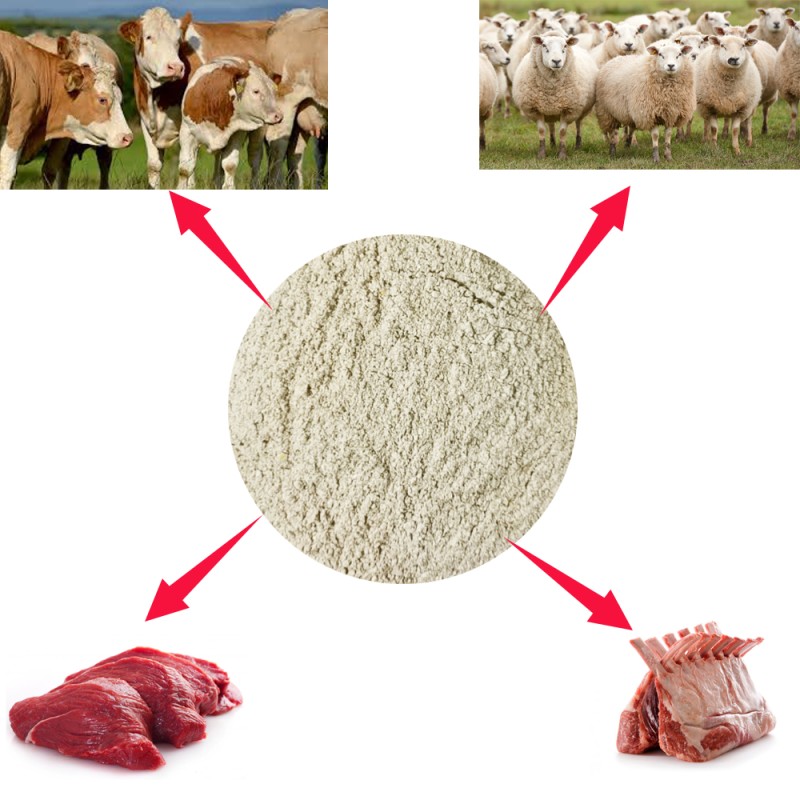 New Formula Premix for Sheep