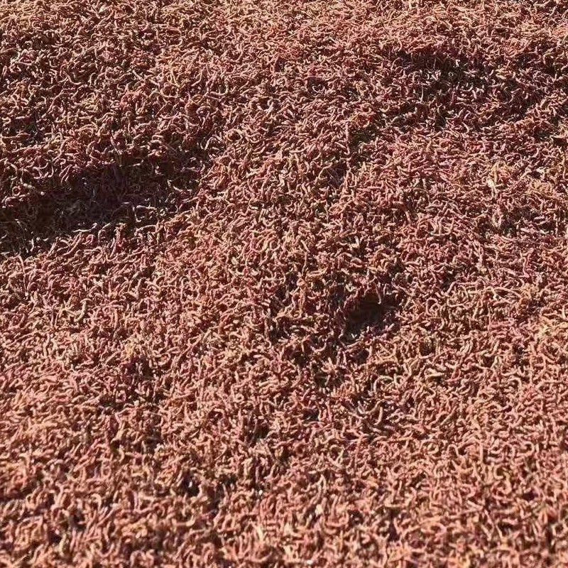 Wholesale High Quality Dried Bloodworms Koi Fish Food