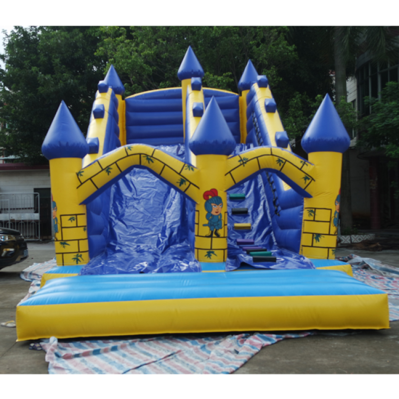 Jumping Castle Supplier - New Design Combo Blow up Bounce House
