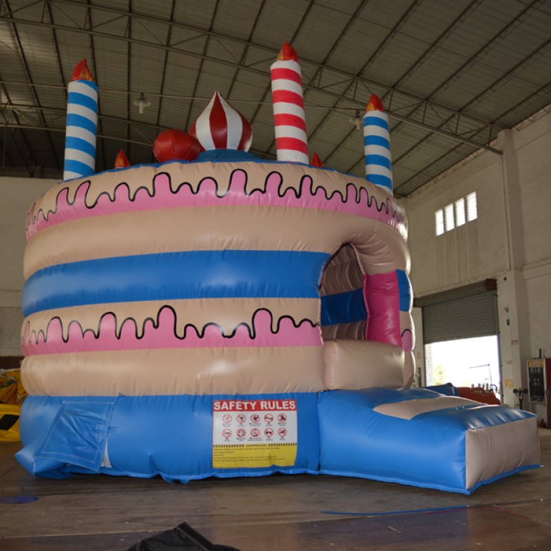 Wholesale Bounce House Supplier - Cake Bounce House with Blower