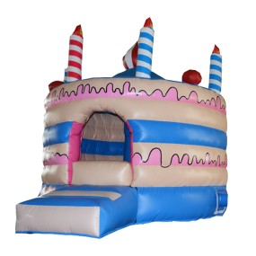 Wholesale Bounce House Supplier - Cake Bounce House with Blower