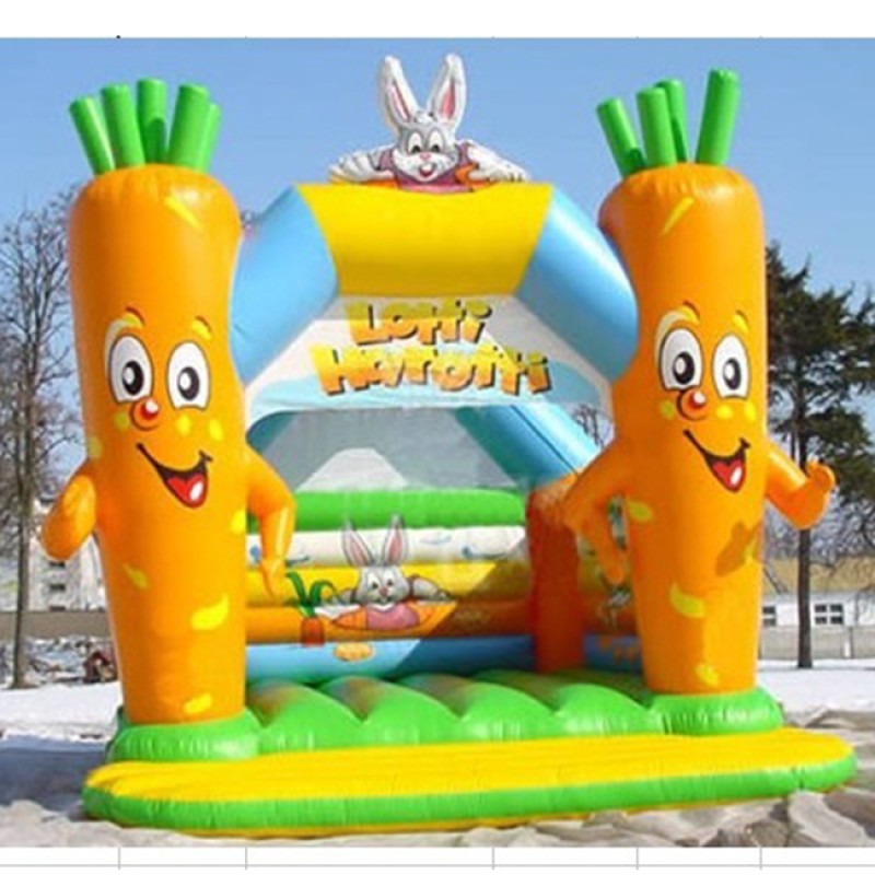 Inflatable Boat Manufacturer - 12 Person Double Inflatable Water Slide