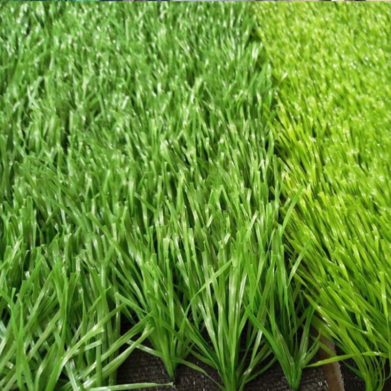 Trust Grass Factory - Guangzhou Trust Eco-friendly Good Quality