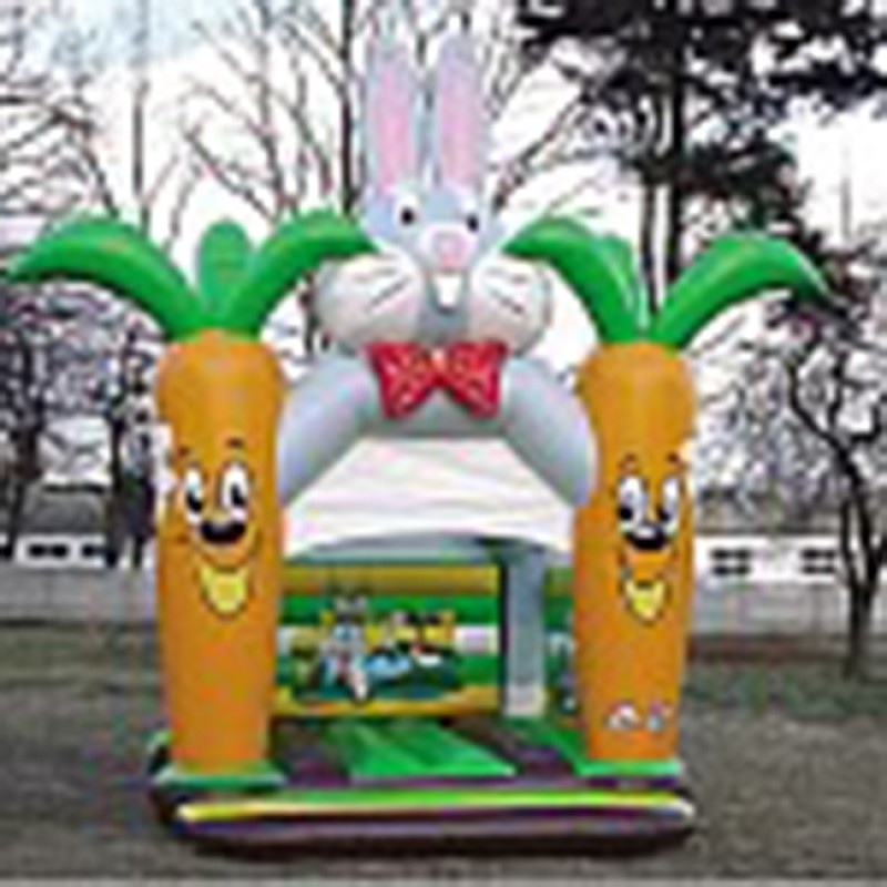 Inflatable Boat Manufacturer - 12 Person Double Inflatable Water Slide