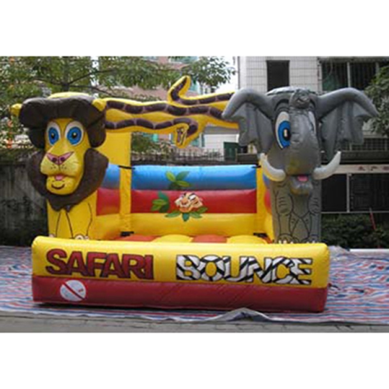 Inflatable Boat Manufacturer - 12 Person Double Inflatable Water Slide