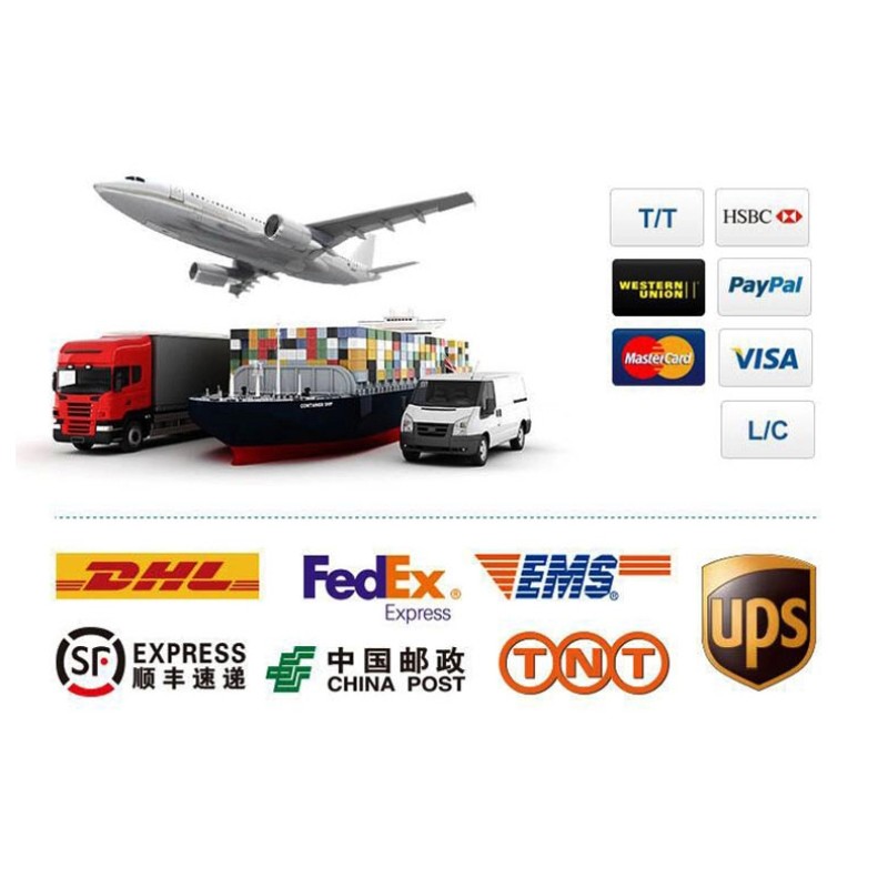 Dog Agility Course Supplier - Park Friendly Canine Exercise