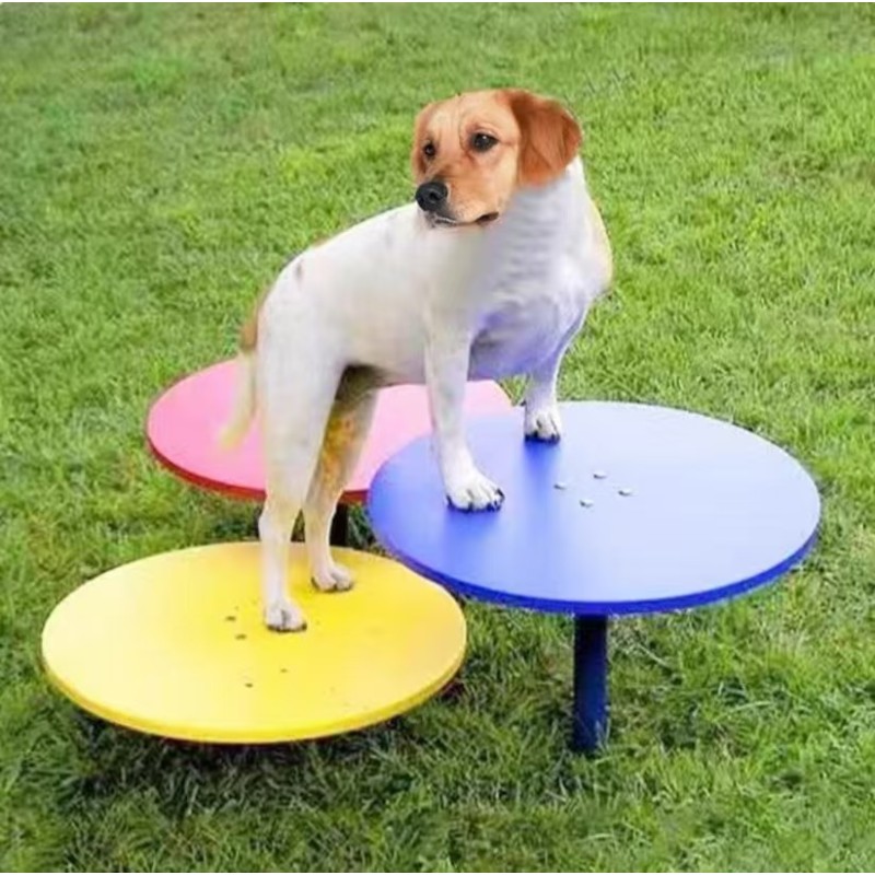 Dog Agility Playground Factory - Durable Colorful Innovative Safe