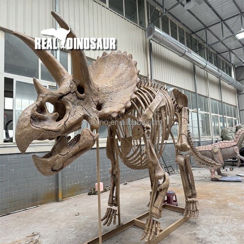 Dinosaur Skeleton Supplier - Zigong Maker T-rex Skeleton