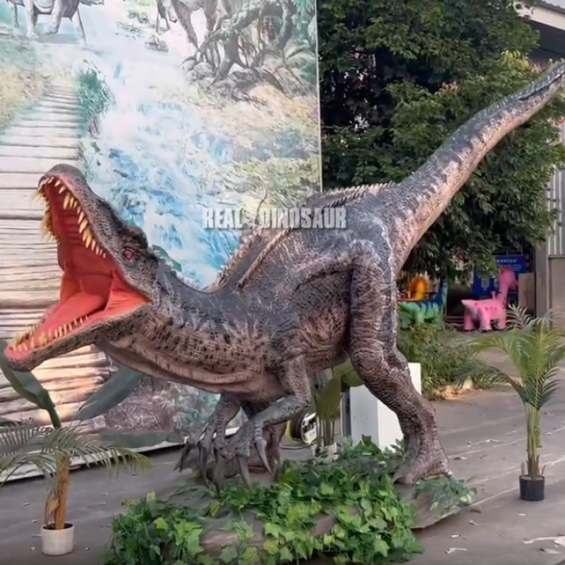 Animatronic Dinosaur Supplier - High-tech Simulation Robot Model