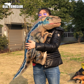 Animatronic Puppet Manufacturer - Dinosaur Raptor Puppet Children