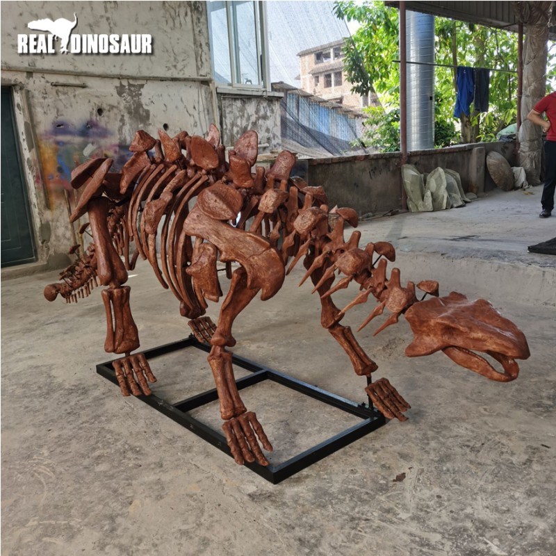Fiberglass Dinosaur Manufacturer - Simulation Ankylosaurus Skeleton