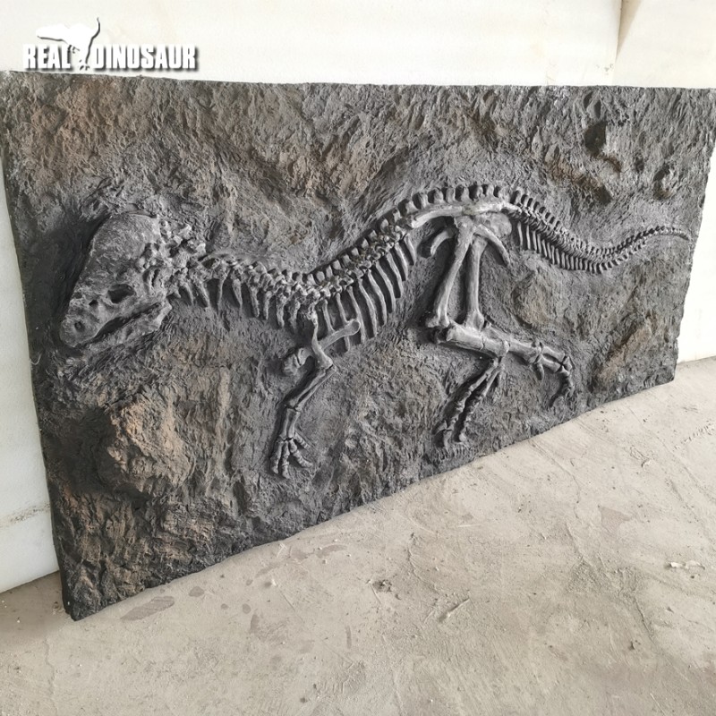 Dinosaur Fossil Factory - Excavation Pachycephalosaurus Fossil