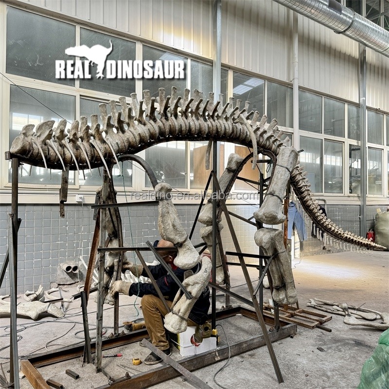 Dinosaur Fossil Factory - Artificial Fossils Bone for Sale