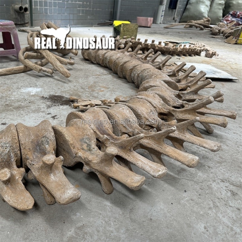 Dinosaur Fossil Factory - Artificial Fossils Bone for Sale