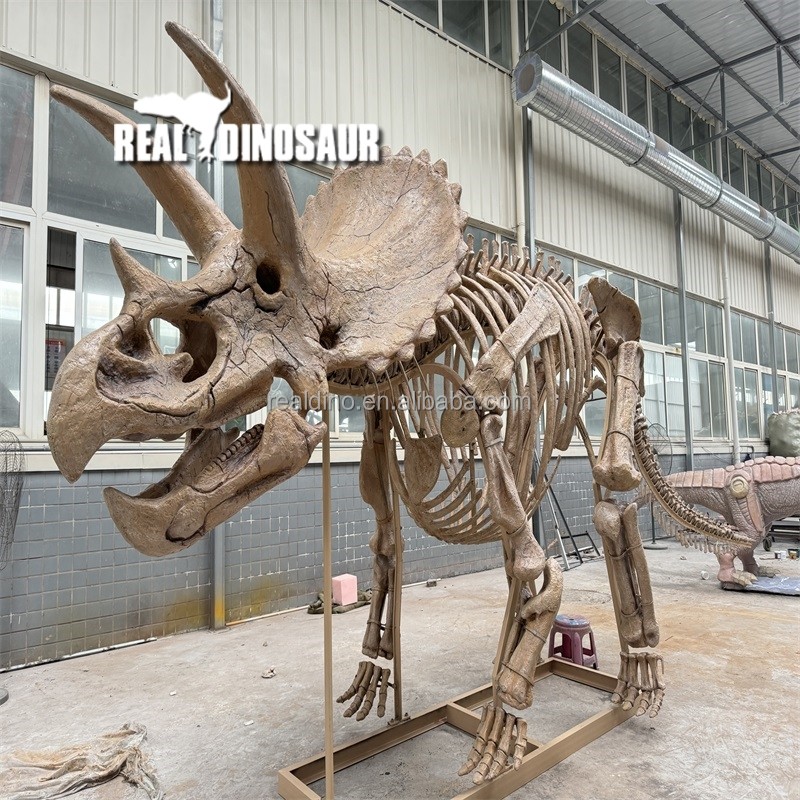 Dinosaur Skeleton Supplier - Zigong Maker T-rex Skeleton