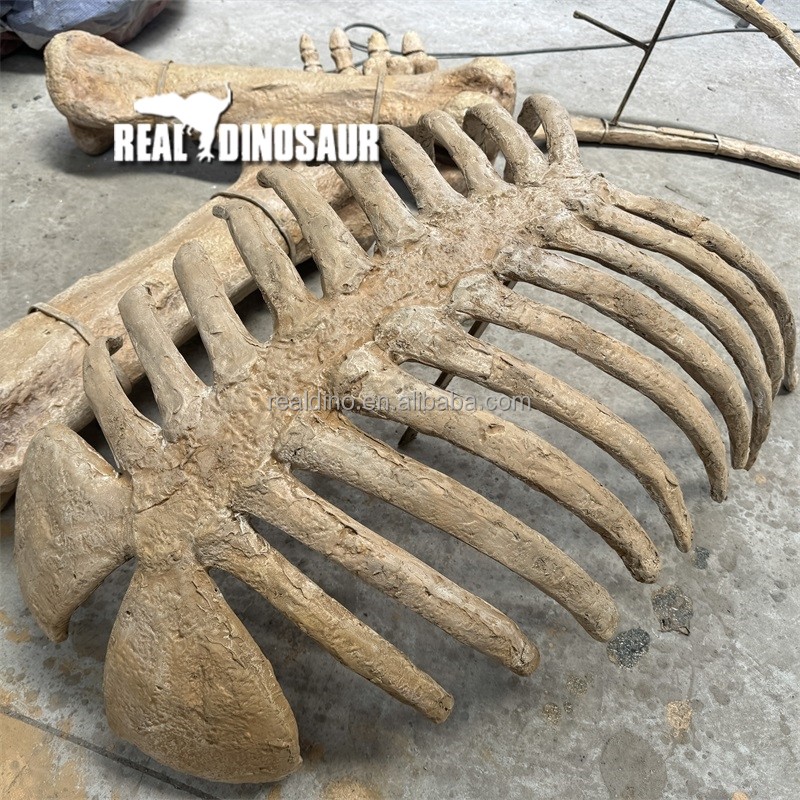 Dinosaur Fossil Factory - Artificial Fossils Bone for Sale