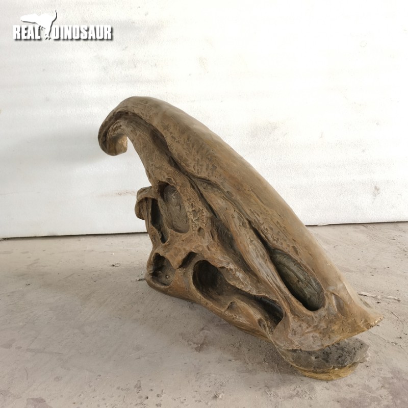 Fiberglass Dinosaur Manufacturer - Life Size T-Rex Skulls Decoration