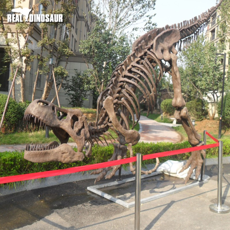 Dinosaur Skeleton Supplier - Life Size T-Rex Shopping Mall