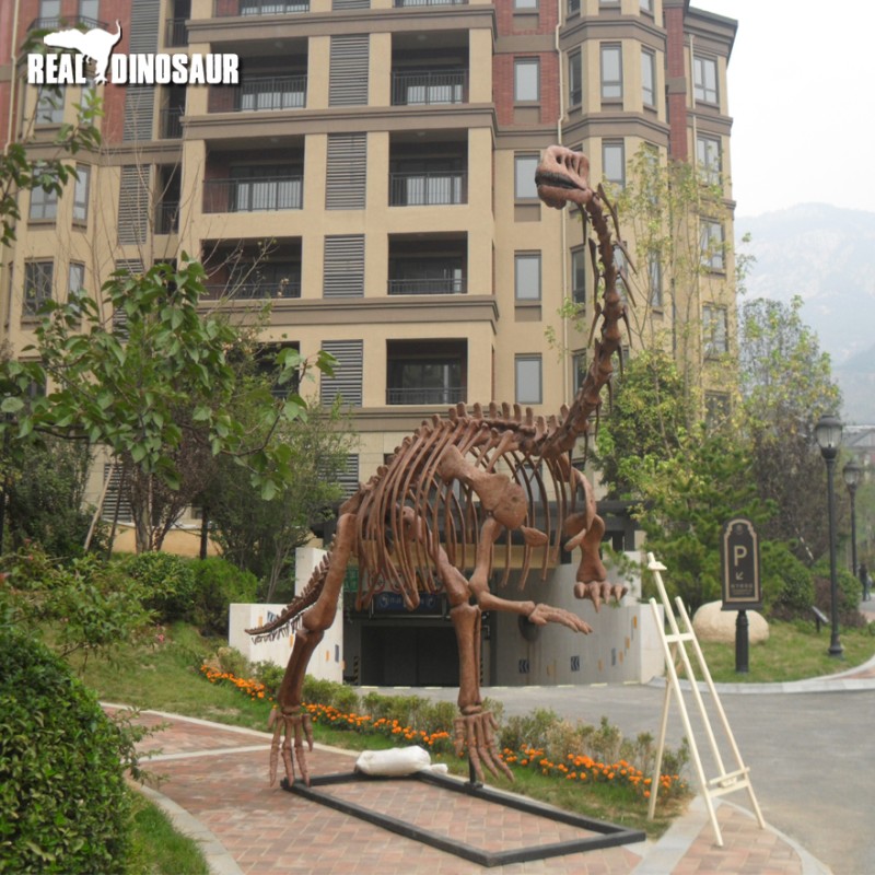 Dinosaur Fossil Factory - Life Size Extinction Fossil Skeleton