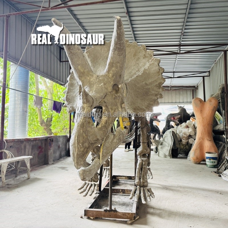 Dinosaur Sculpture Supplier - Fossil Manufacturer Skeleton Exhibit