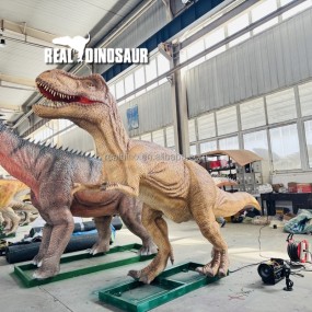 Animatronic Dinosaur Supplier - Professional T-Rex Robot Model