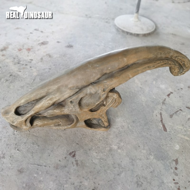 Fiberglass Dinosaur Manufacturer - Life Size T-Rex Skulls Decoration