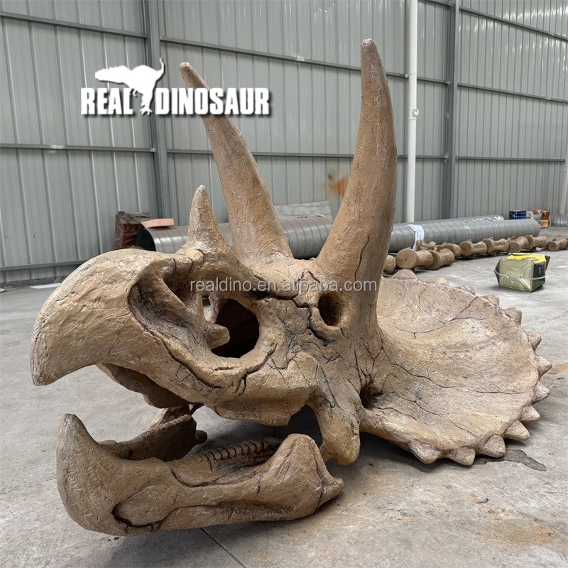 Dinosaur Skeleton Supplier - Zigong Maker T-rex Skeleton