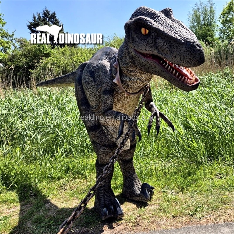 Animatronic Dinosaur Costume Manufacturer - Hot Sale Realistic Robot
