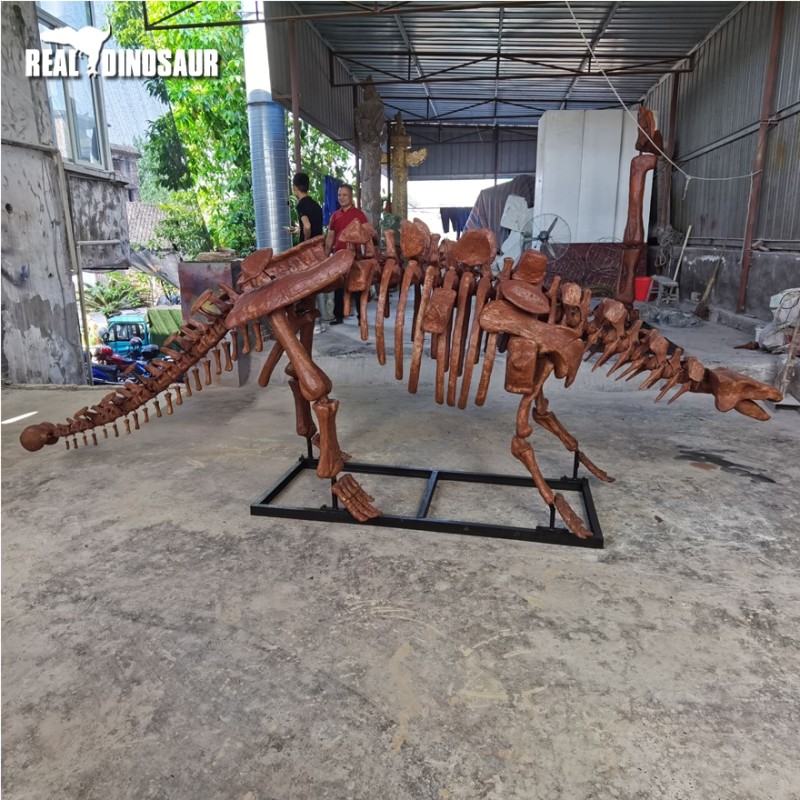 Fiberglass Dinosaur Manufacturer - Simulation Ankylosaurus Skeleton