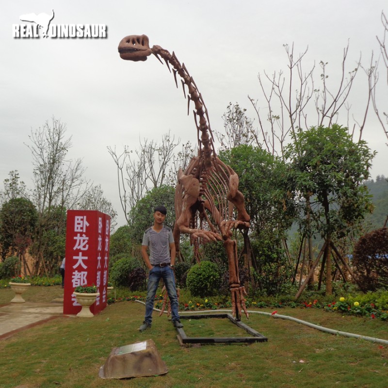 Dinosaur Skeleton Supplier - Life Size T-Rex Shopping Mall
