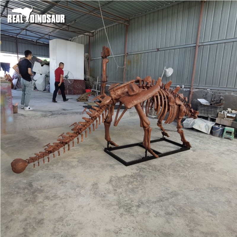 Fiberglass Dinosaur Manufacturer - Simulation Ankylosaurus Skeleton