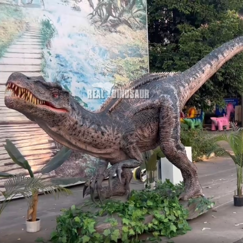 Animatronic Dinosaur Supplier - High-tech Simulation Robot Model